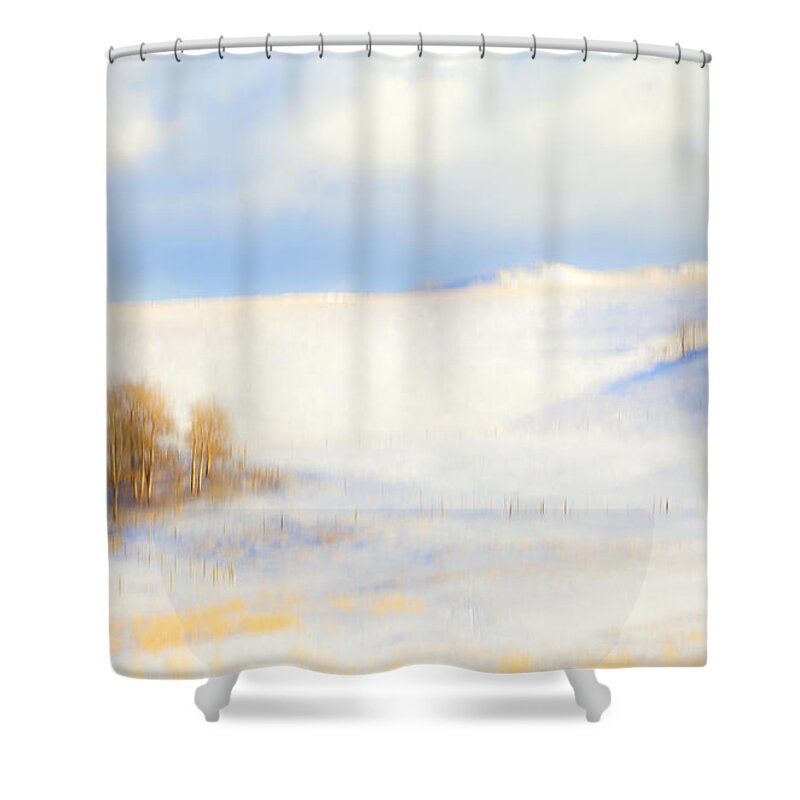 Winter Shower Curtain featuring the photograph Winter Poplars by Theresa Tahara