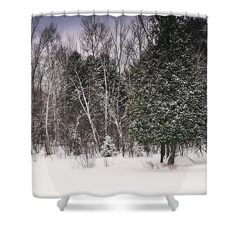 Red Barn Shower Curtain featuring the photograph Winter Postcard by Gwen Gibson