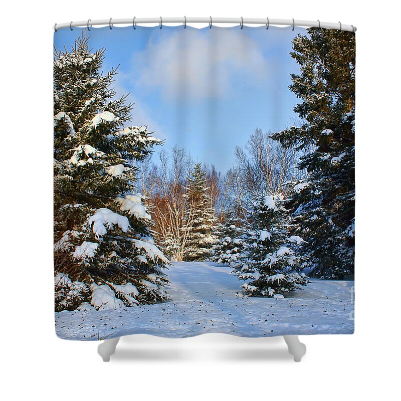Winter Shower Curtain featuring the photograph Winter Scenery by Teresa Zieba