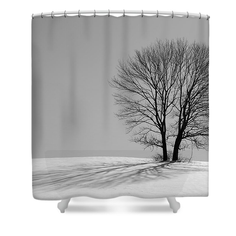 Winter Shower Curtain featuring the photograph Winter - Snow Trees 2 in Mono by Richard Reeve
