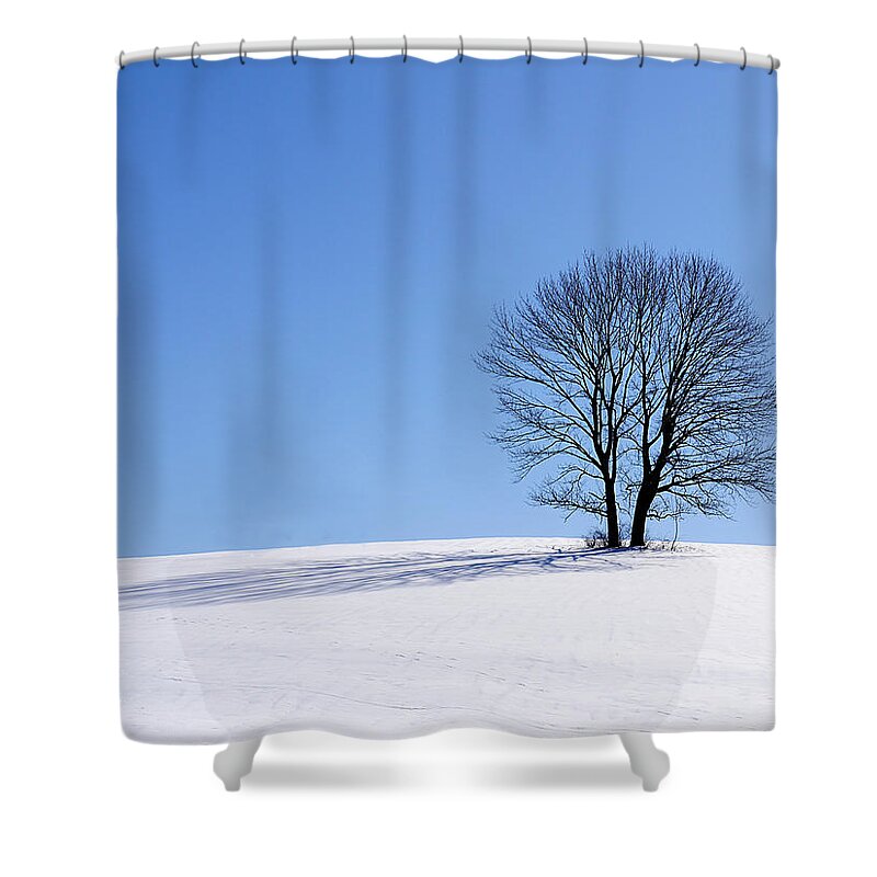Winter Shower Curtain featuring the photograph Winter - Snow Trees by Richard Reeve