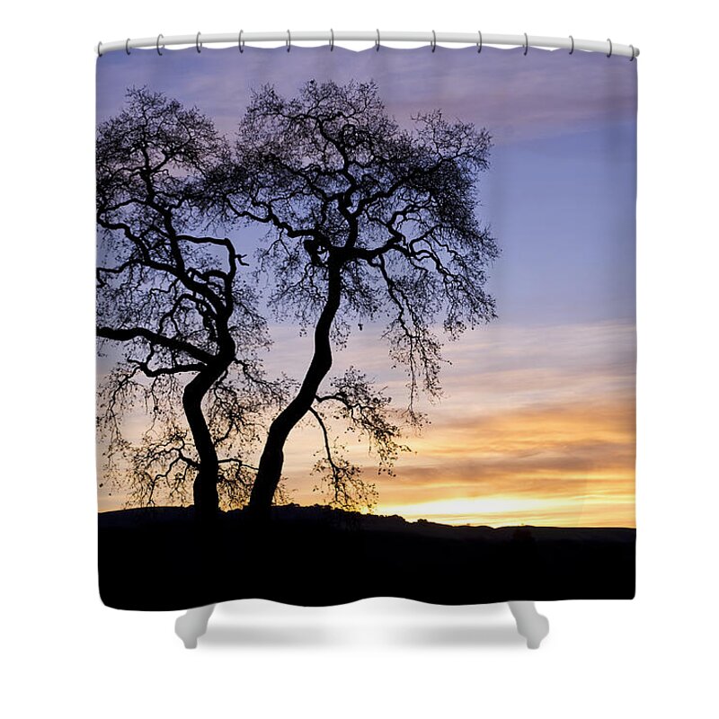 Sunrise Shower Curtain featuring the photograph Winter Sunrise With Tree Silhouette by Priya Ghose