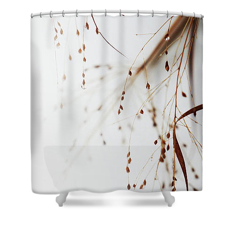 Winter Shower Curtain featuring the photograph Winter Tears - 1 by Linda Shafer