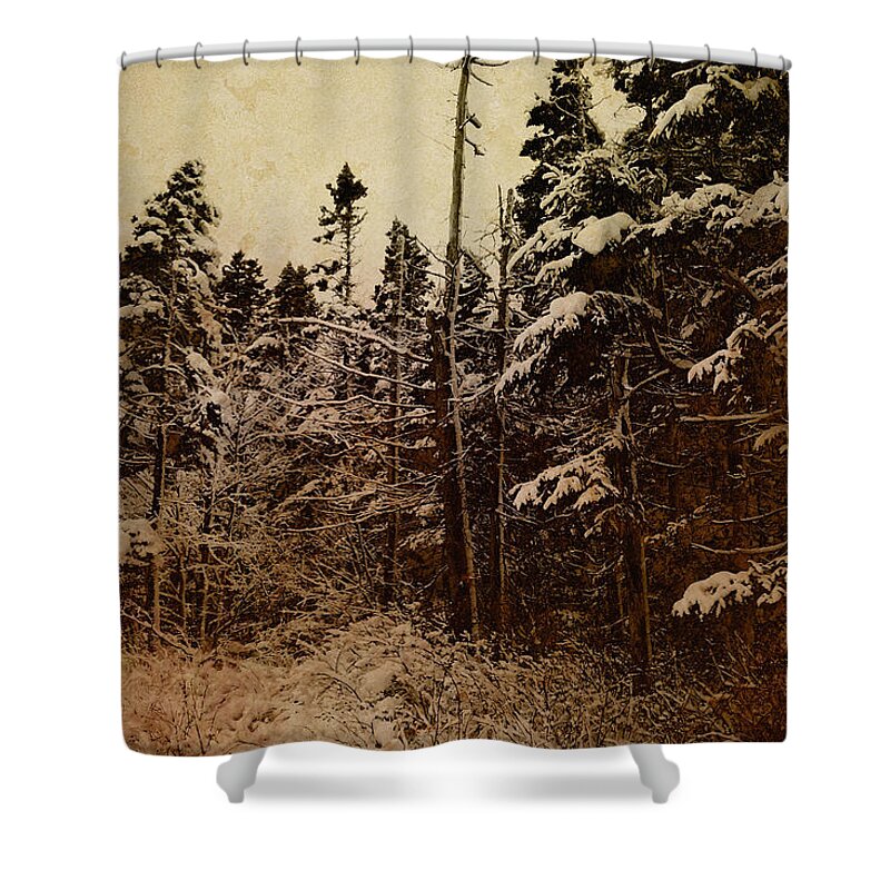 Tree Shower Curtain featuring the photograph Winter Trees by WB Johnston