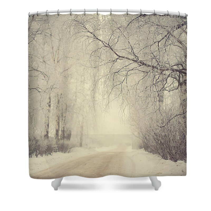 Winter Shower Curtain featuring the photograph Winter Way by Jenny Rainbow