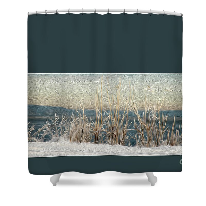 Winter Shower Curtain featuring the photograph Winter Weeds by Randi Grace Nilsberg