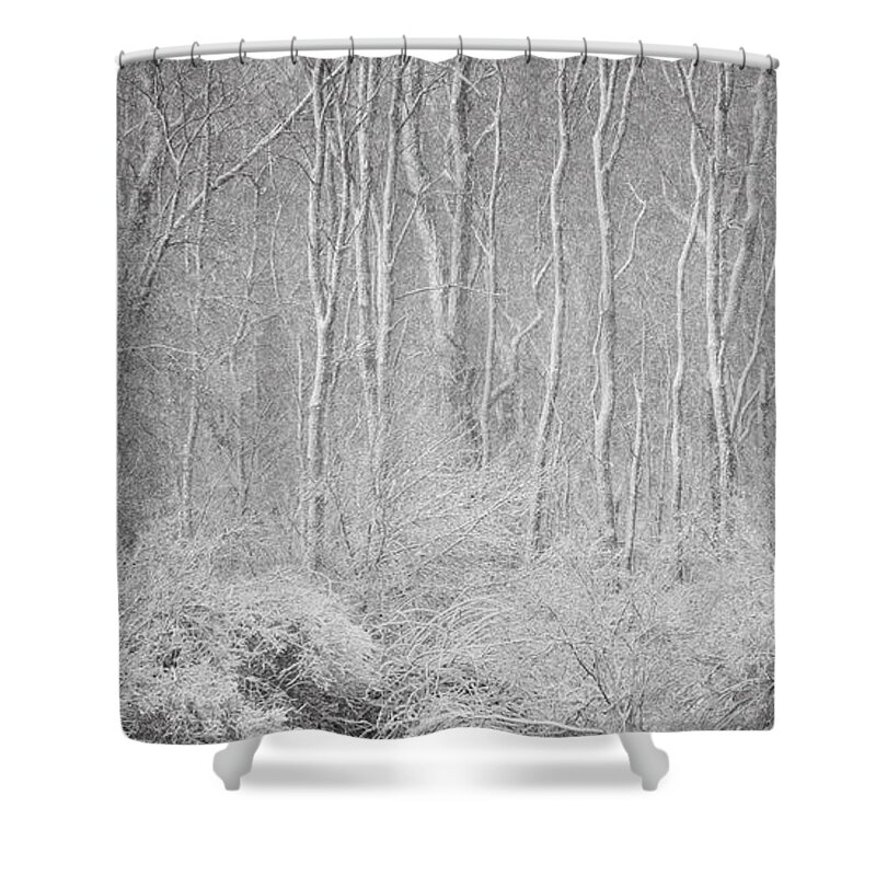 Flatlandsfoto Shower Curtain featuring the photograph Winter Wood 2013 by Joan Davis