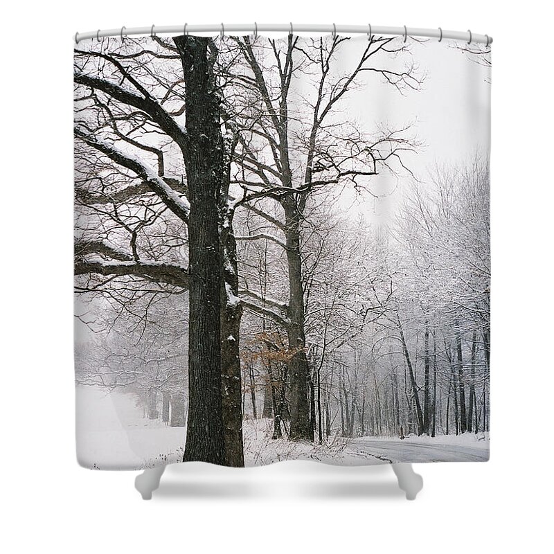 Oak Shower Curtain featuring the photograph Winters Curve by Randy Pollard