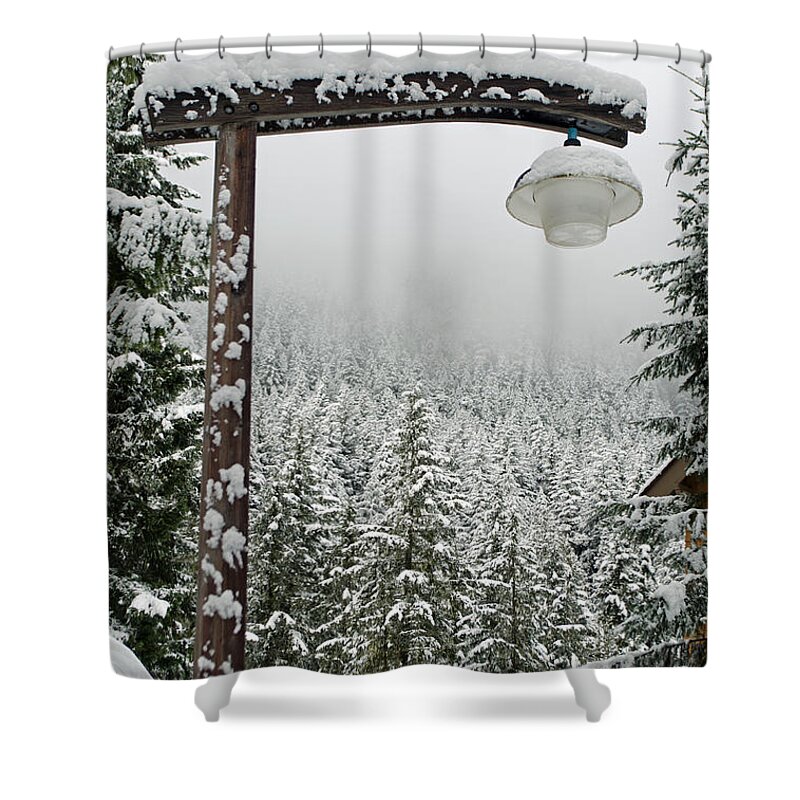 Winter Lamp Post Shower Curtain featuring the photograph Winter's Lamp Post by Tikvah's Hope