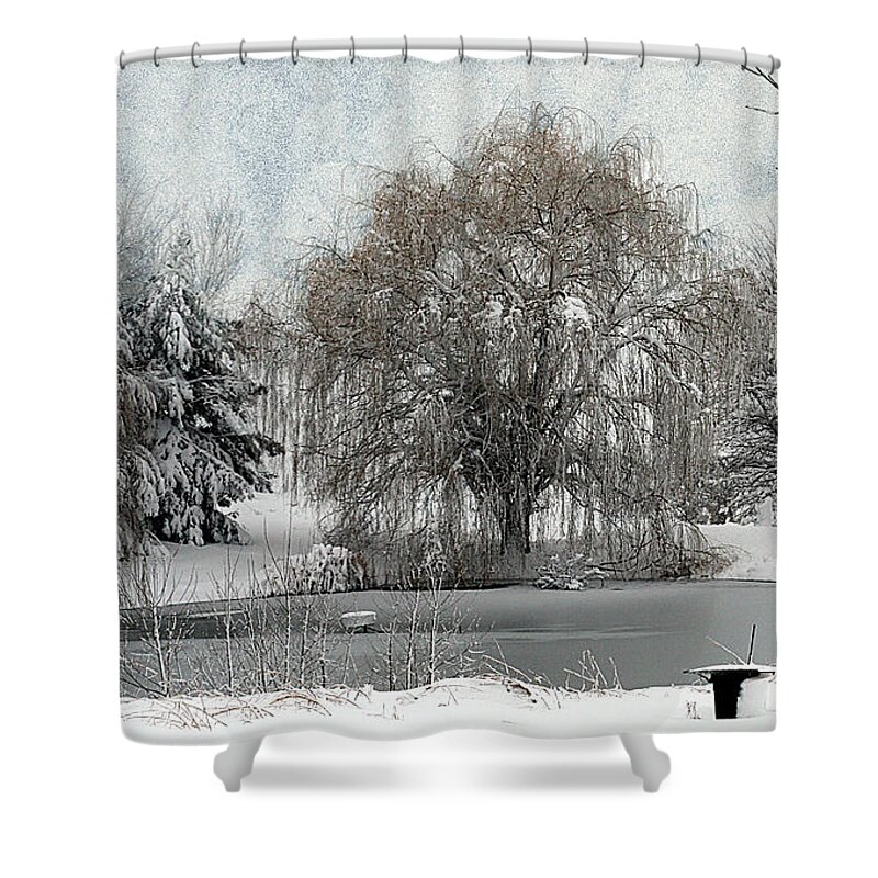 Winter Shower Curtain featuring the photograph Winter's Storm by Elizabeth Winter