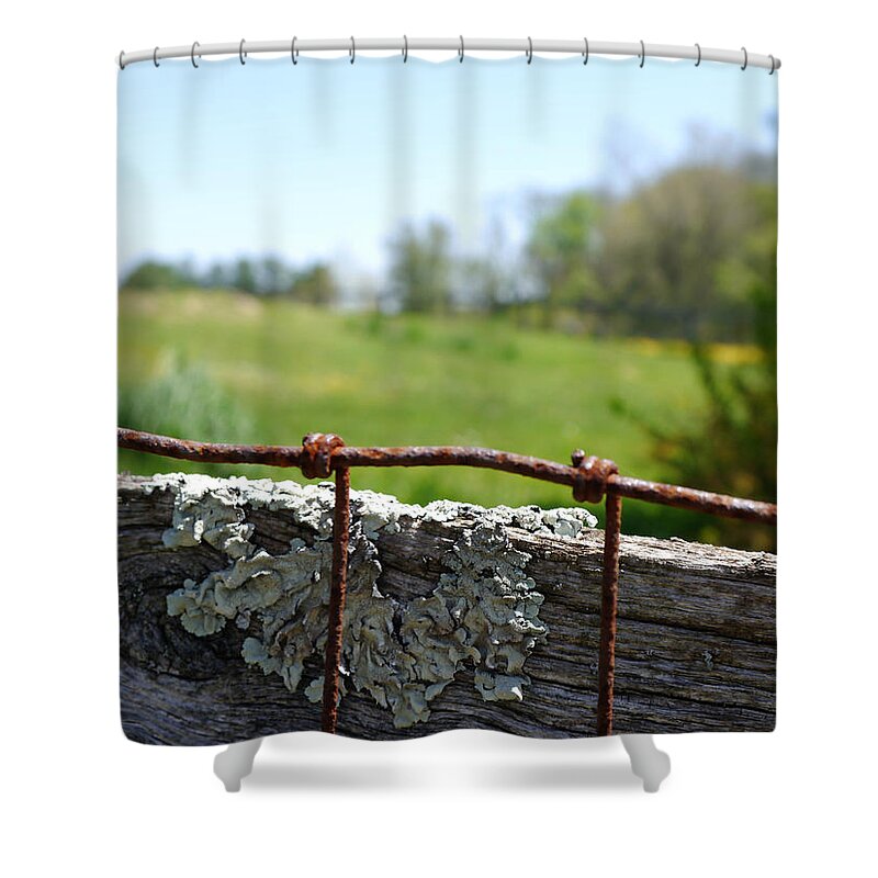 Wire Shower Curtain featuring the photograph Wire and Lichen by Richard Reeve