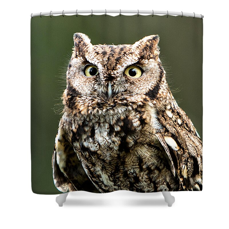 Animals Shower Curtain featuring the photograph Wise Eyes by Mary Jo Allen