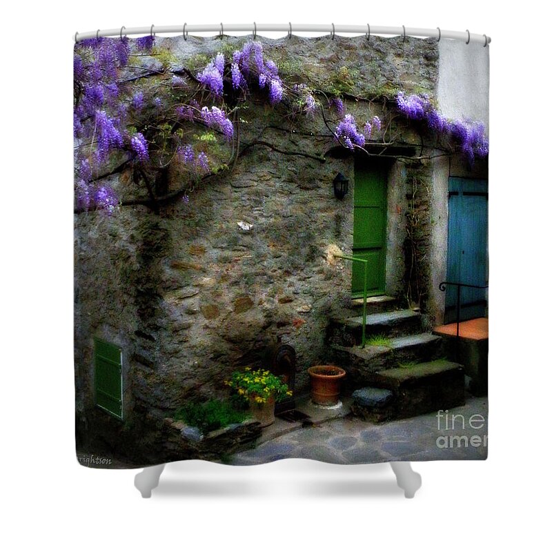 Wisteria Shower Curtain featuring the photograph Wisteria on Stone House by Lainie Wrightson