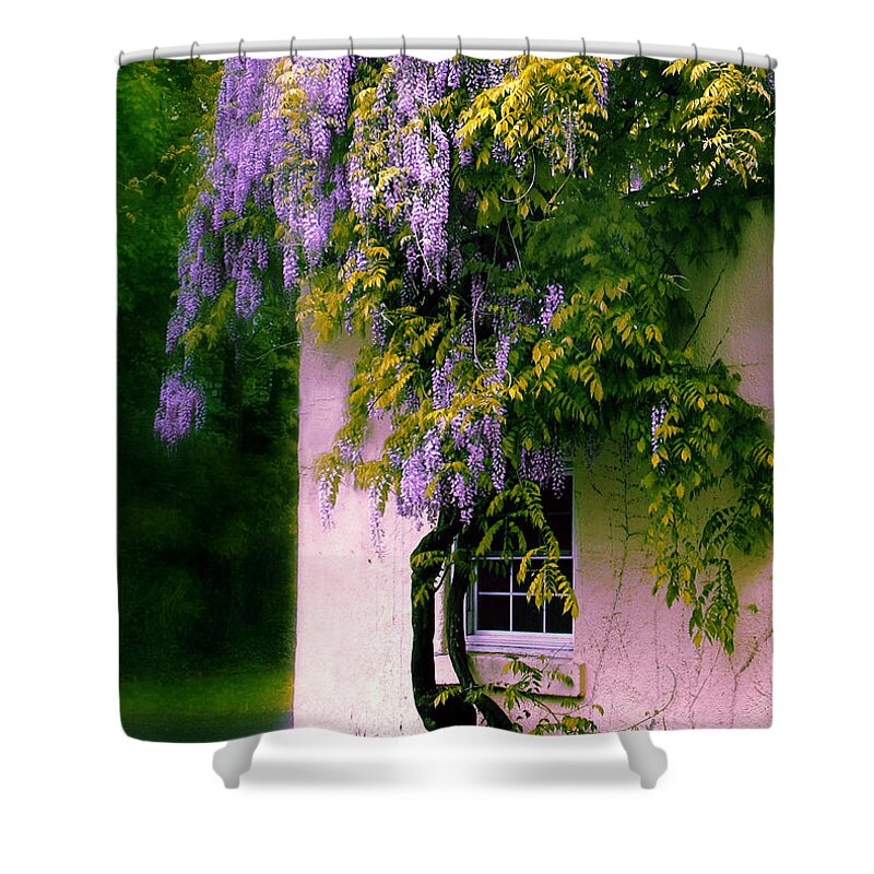 Spring Shower Curtain featuring the photograph Wisteria Tree by Jessica Jenney
