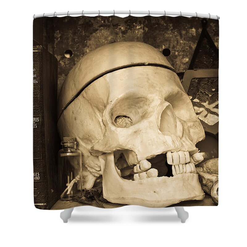 Witch Shower Curtain featuring the photograph Witches Bookshelf by Edward Fielding