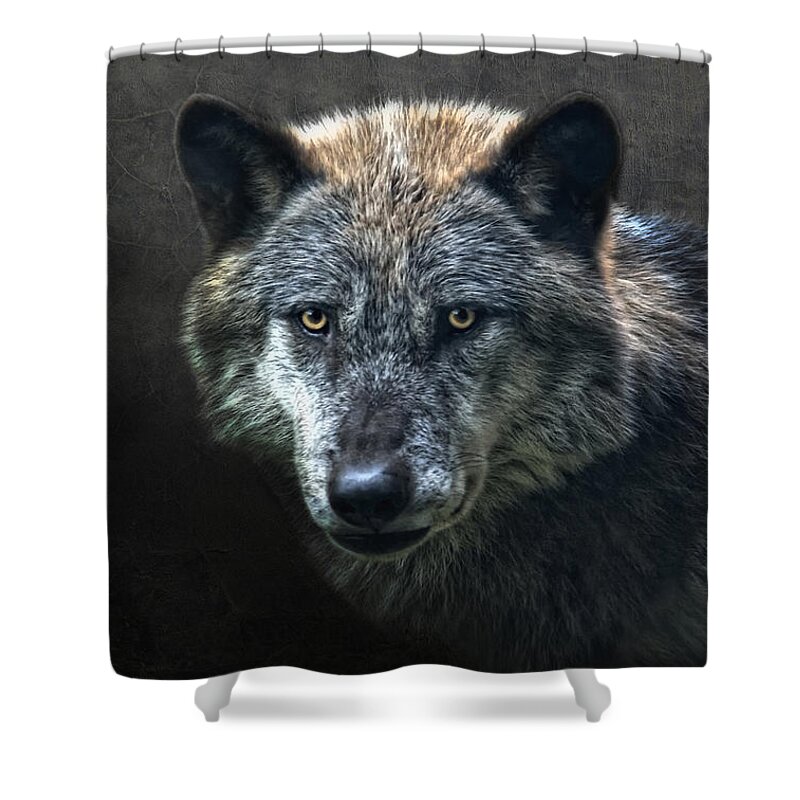 Animal Shower Curtain featuring the photograph Wolfman by Joachim G Pinkawa