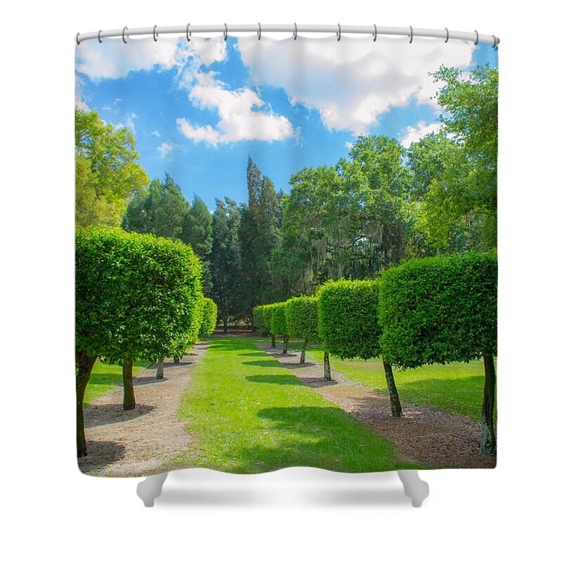 Bok Tower Shower Curtain featuring the photograph Wonderland 1 by Shannon Harrington