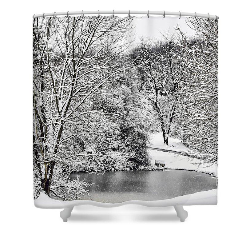 Trees Shower Curtain featuring the photograph Wonderland 2 by Judy Wolinsky