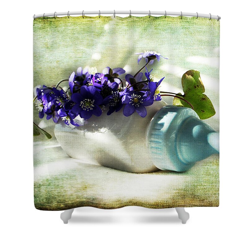Hepatica Nobilis Shower Curtain featuring the photograph Wonders Happen in the Spring by Randi Grace Nilsberg