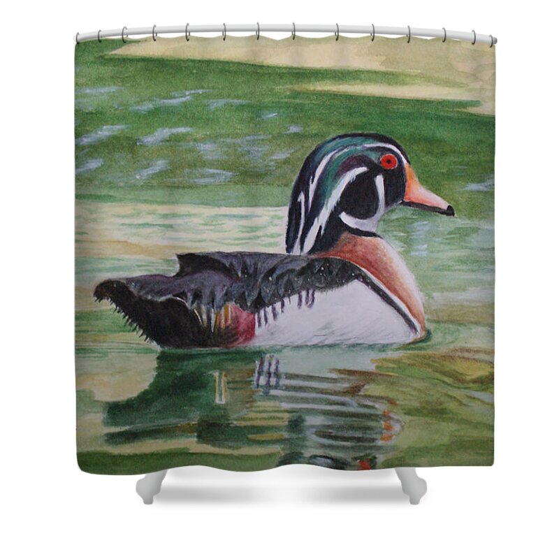 Duck Shower Curtain featuring the painting Wood Duck by Jill Ciccone Pike