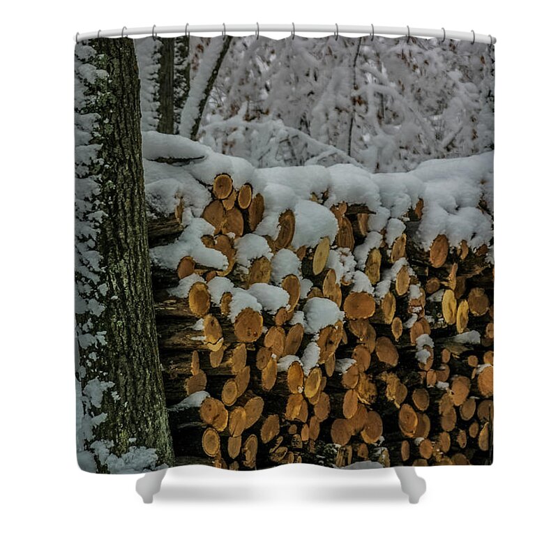 Oak Shower Curtain featuring the photograph Wood Pile by Paul Freidlund