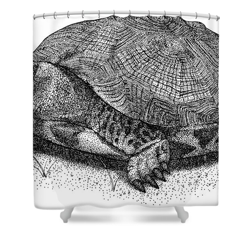 Wood Turtle Shower Curtain featuring the photograph Wood Turtle by Roger Hall