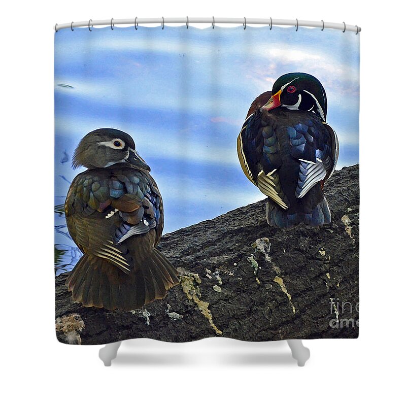 Wood Ducks Shower Curtain featuring the photograph Wood you love me forever by Robert Meanor