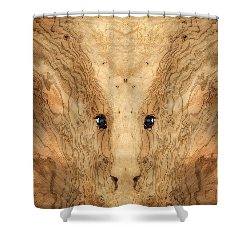Wood Shower Curtain featuring the photograph Woody 38 by Rick Mosher