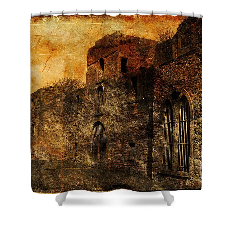 Castle Shower Curtain featuring the photograph Workington Hall by Randi Grace Nilsberg