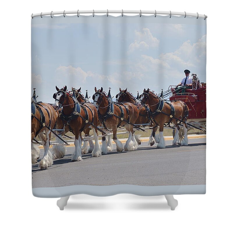 Clydesdales Shower Curtain featuring the mixed media World Renown Clydesdales 2 by Kae Cheatham