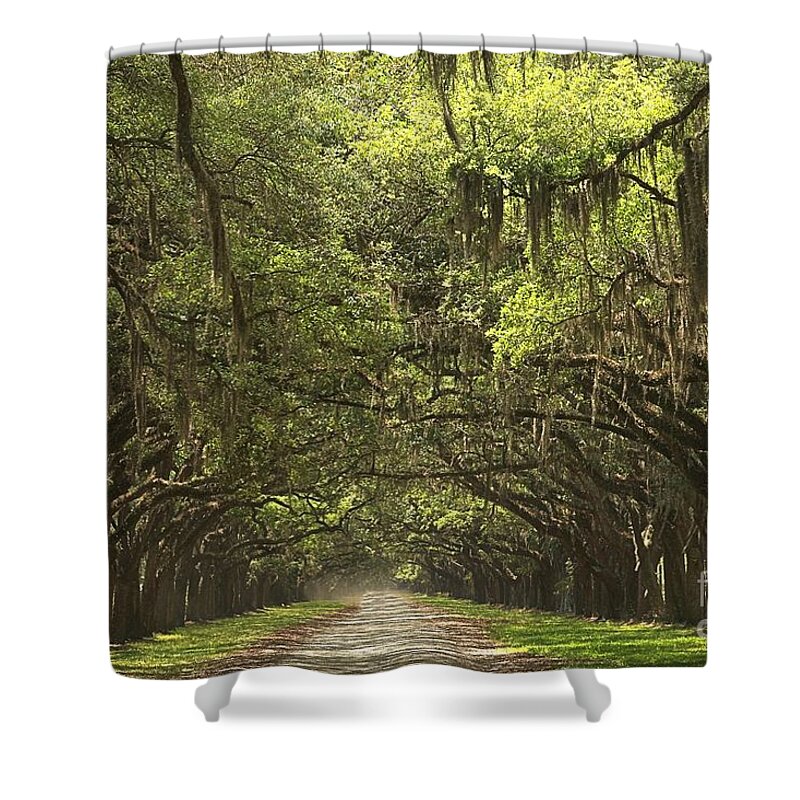 Avenue Of The Oaks Shower Curtain featuring the photograph Wormsloe Avenue Of The Oaks by Adam Jewell