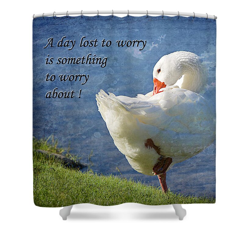 Duck Shower Curtain featuring the photograph Worry Free by Phyllis Denton
