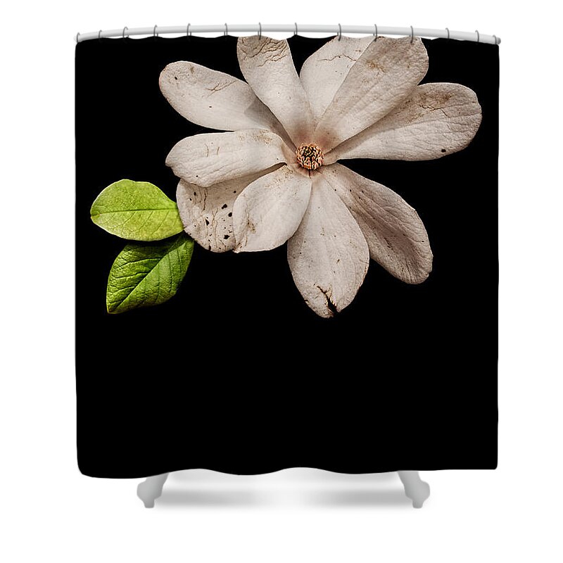 Wounds Shower Curtain featuring the photograph Wounds cannot hide the beauty in you by Weston Westmoreland
