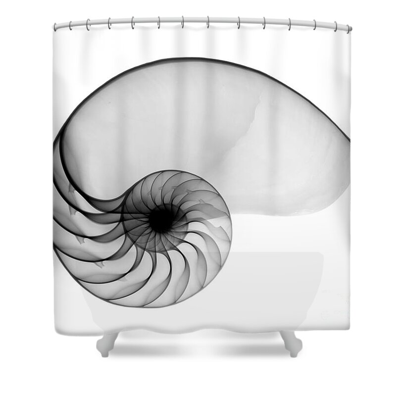Radiograph Shower Curtain featuring the photograph X-ray Of Nautilus by Bert Myers