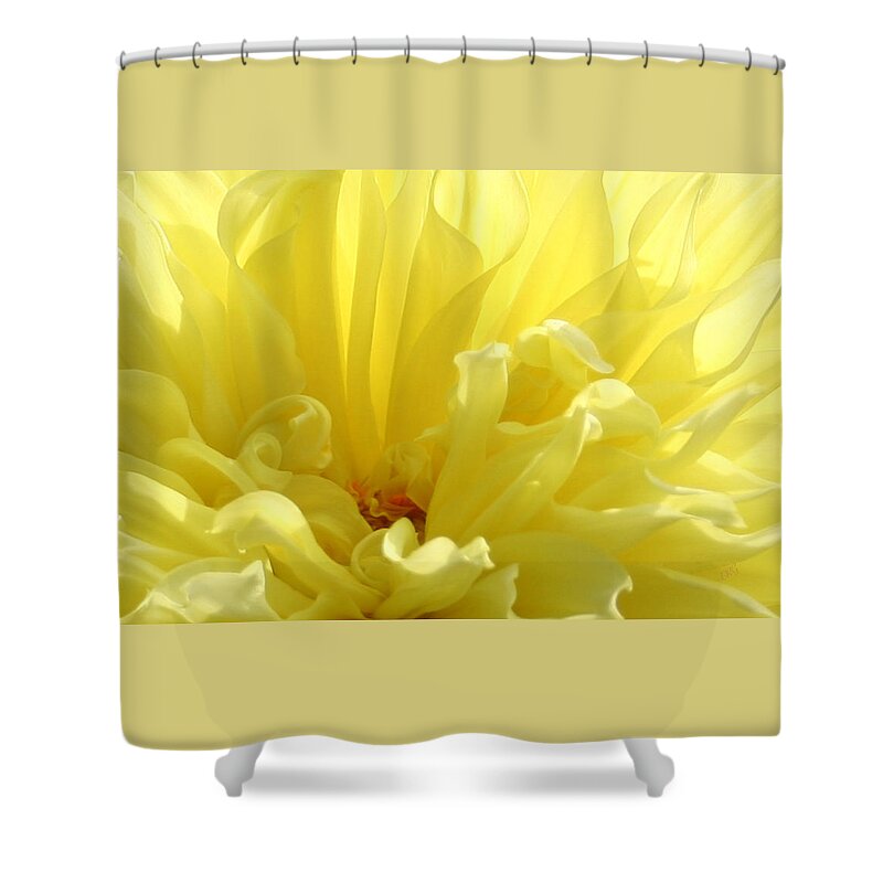 Floral Abstract Shower Curtain featuring the photograph Yellow Dahlia Burst by Ben and Raisa Gertsberg