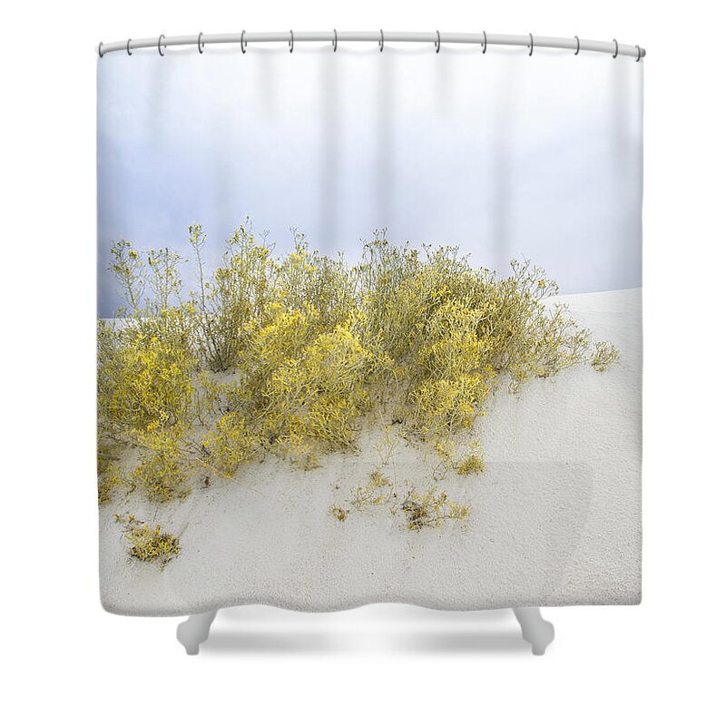 White Sands Shower Curtain featuring the photograph Yellow Desert flower at White Sands by Jean Noren