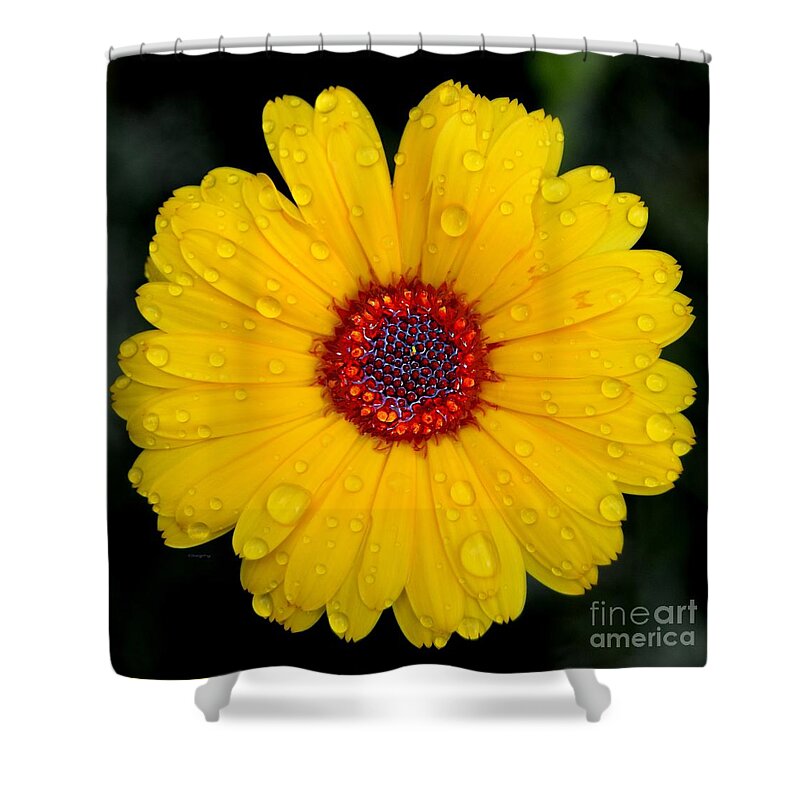 Flower Shower Curtain featuring the pyrography Yellow by Greg Moores