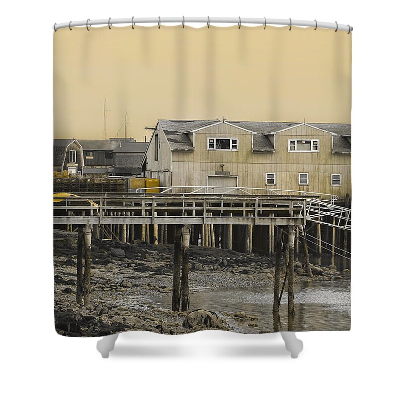 Maine Shower Curtain featuring the photograph Yellow by Karin Pinkham