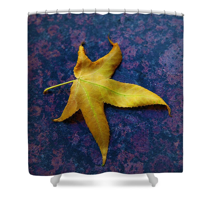 Leaf Image Posters Shower Curtain featuring the photograph Yellow Leaf On Marble by David Davies