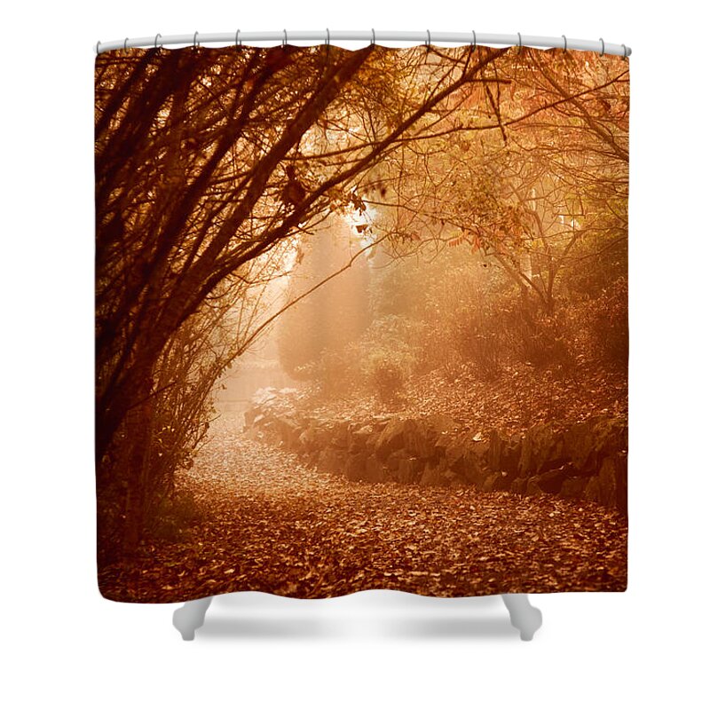 Path Shower Curtain featuring the photograph Yellow Leaf Road by Monte Arnold