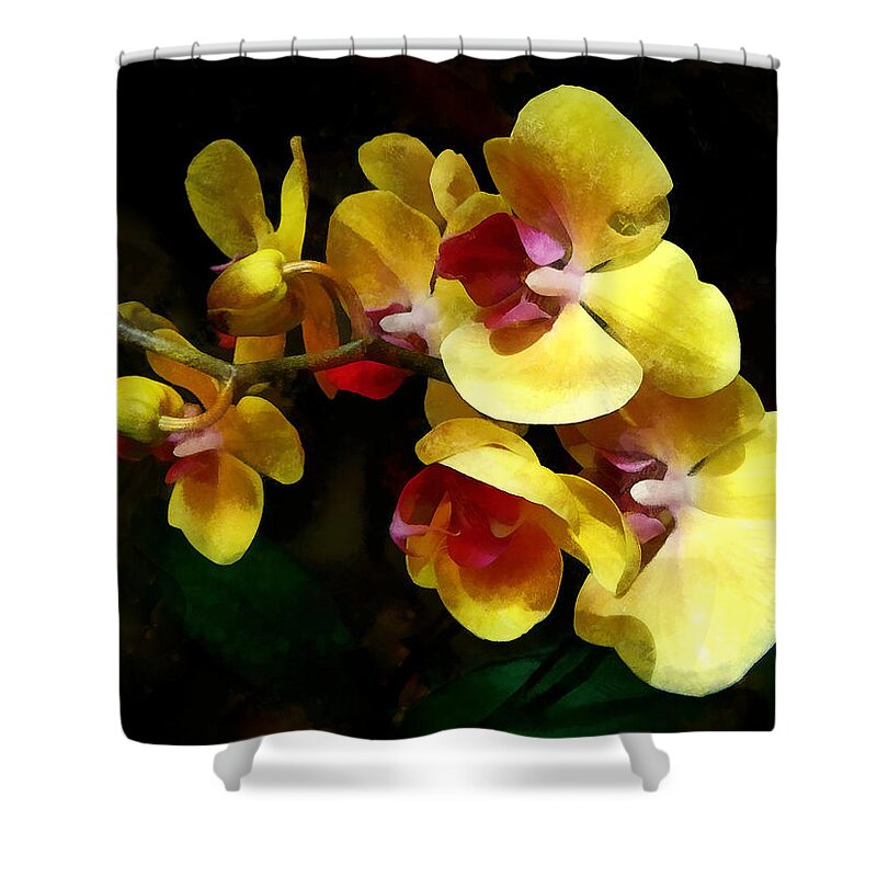 Orchid Shower Curtain featuring the photograph Yellow Orchids Shadow and Light by Susan Savad