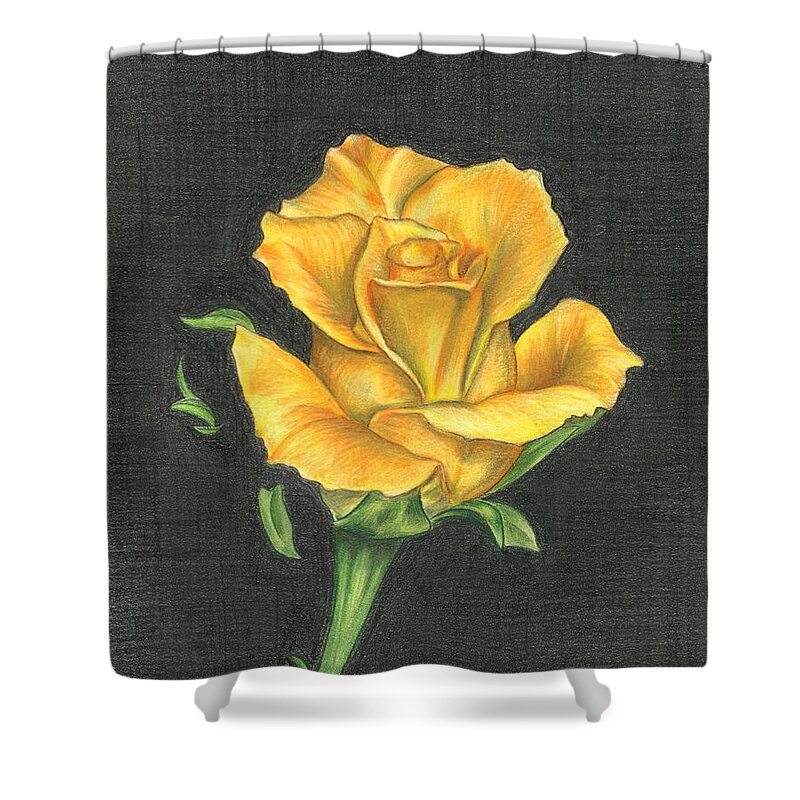 Rose Shower Curtain featuring the drawing Yellow Rose by Troy Levesque