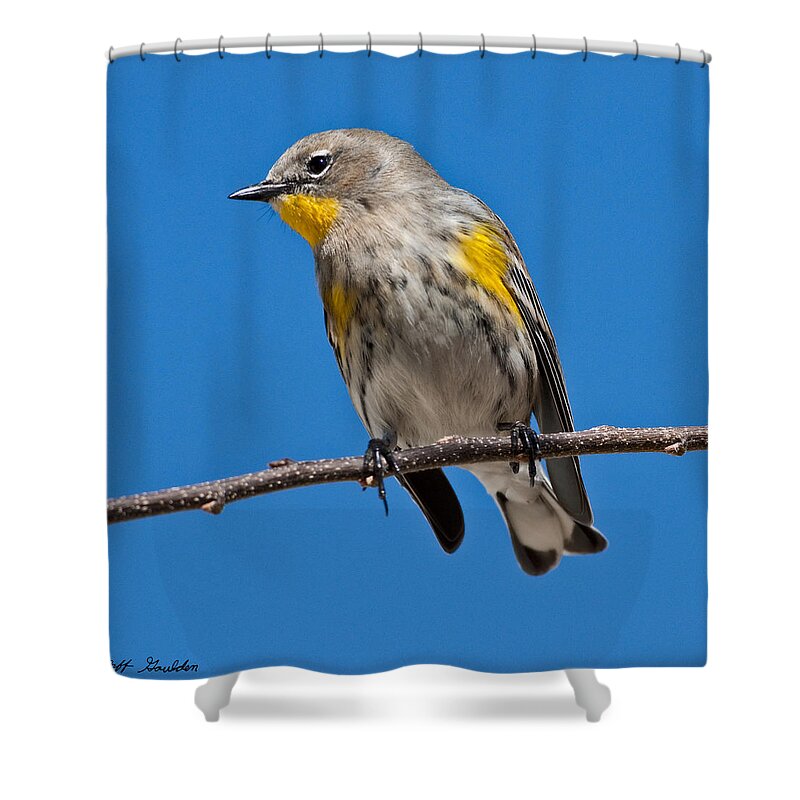 Adult Shower Curtain featuring the photograph Yellow-Rumped Warbler by Jeff Goulden