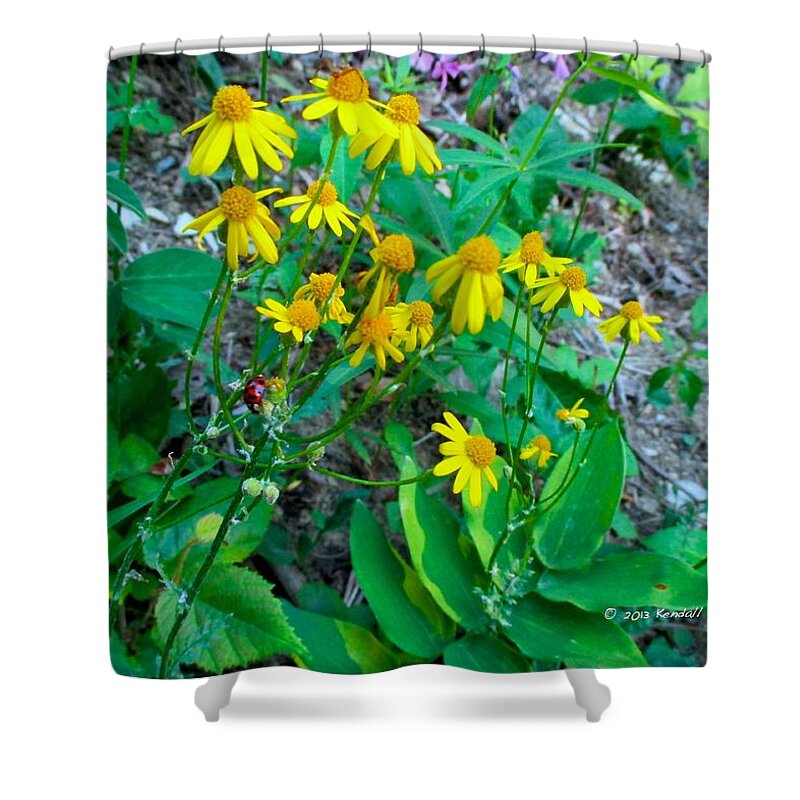  Yellow Shower Curtain featuring the photograph Yellow Tilt by Kendall Kessler