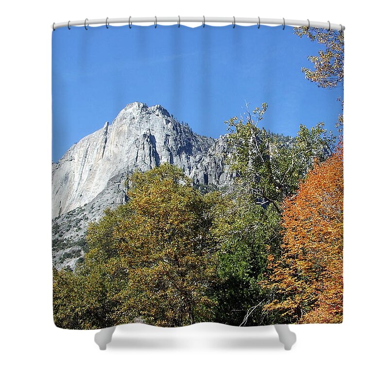 Half Shower Curtain featuring the photograph Yosemite Trees by Richard Reeve