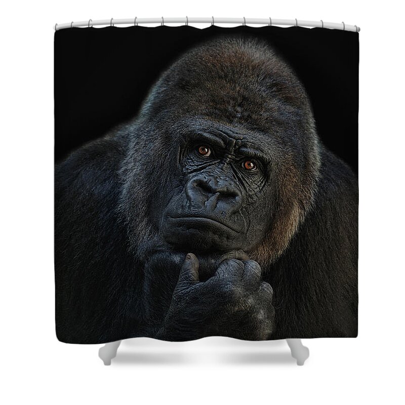 #faatoppicks Shower Curtain featuring the photograph You ain t seen nothing yet by Joachim G Pinkawa