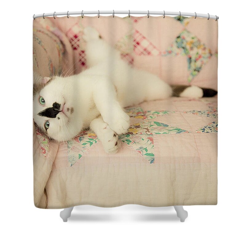 Cat Shower Curtain featuring the photograph You Love Me Don't You by Theresa Tahara