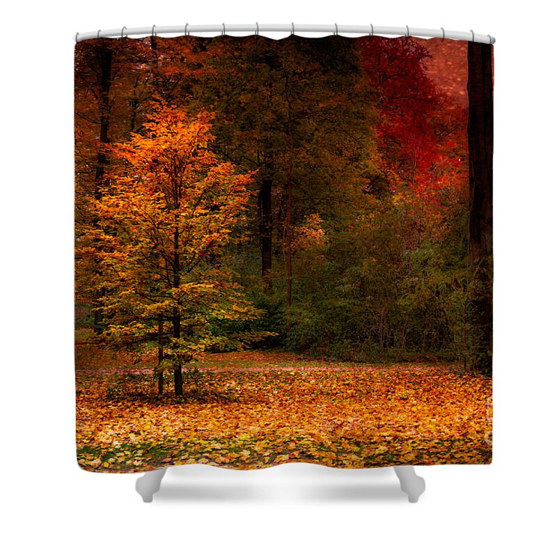 Autumn Shower Curtain featuring the photograph Youth by Hannes Cmarits