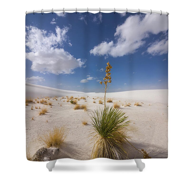 00559170 Shower Curtain featuring the photograph Yucca Growing On Dune In White Sands N by 