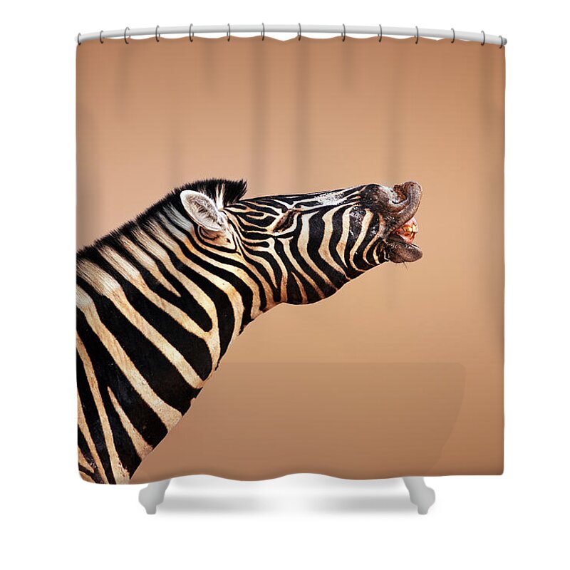 Zebra Shower Curtain featuring the photograph Zebra Calling by Johan Swanepoel